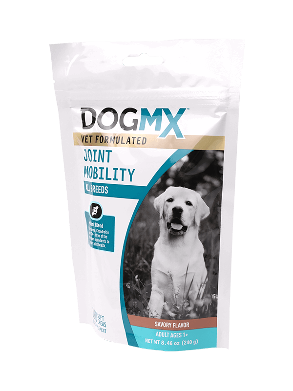 Buona busta di plastica richiudibile sigillata con busta di stampa del cliente