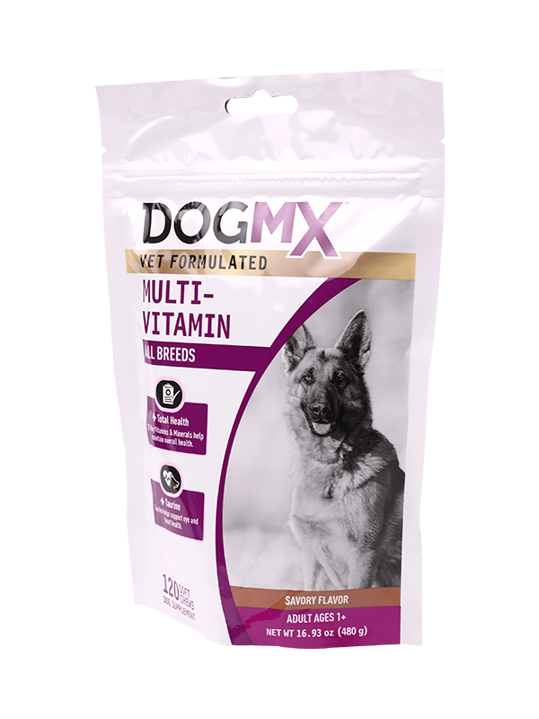 Sigillatura termica per imballaggio con chiusura lampo per cani con chiusura lampo per sacchetti di plastica